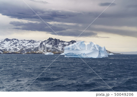 サウスジョージア島 南極から流れてきた氷山 50049206