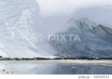 サウスジョージア島 フィヨルドの海　氷河と雪山 50049533