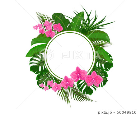Set. Green tropical leaves of banana, coconut, monstera and ogawa. Pink Orchid. In a circle place 50049810