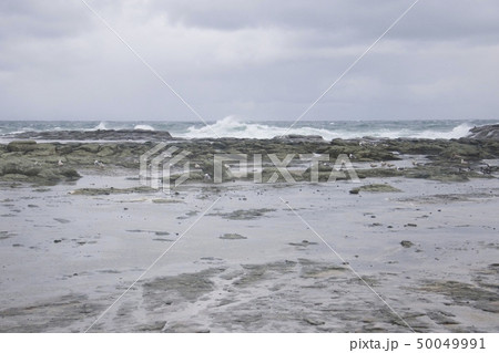 青森県西津軽郡深浦町の千畳敷海岸（３月） 50049991