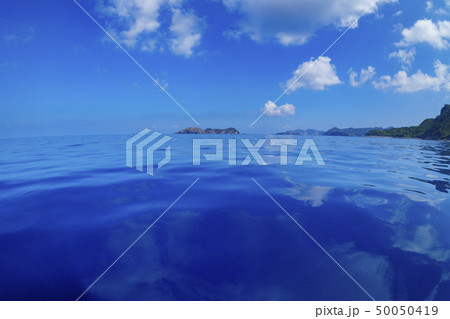 小笠原の凪いだ海　ボートの舳先について泳ぐハシナガイルカ 50050419