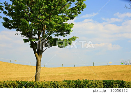 ガーデン 庭園 上り 50050552