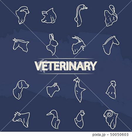 Veterinary icons - line animal heads icons Veterinary icons - line animal heads icons 50050603