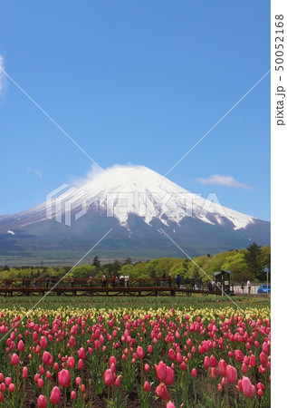 富士山 50052168