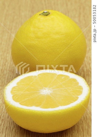 日向夏 日向夏 50053182