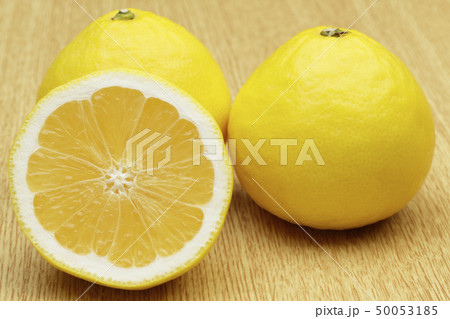 日向夏 日向夏 50053185