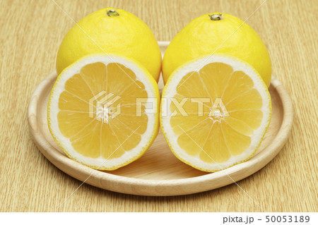 日向夏 日向夏 50053189