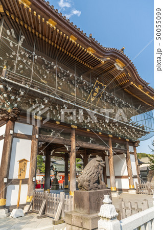 日本の春 成田山新勝寺総門 50055099
