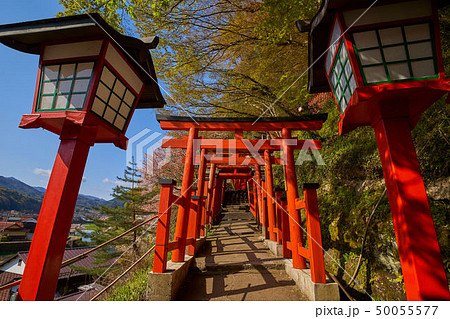 島根(山陰の小京都)の津和野 太鼓谷稲成神社千本鳥居の参道(西に向いて) 50055577