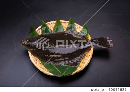 石カレイ　イシガレイ 50055621