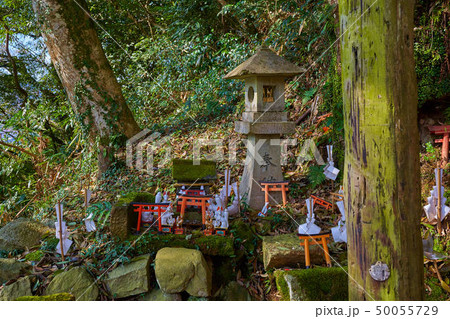 島根(山陰の小京都)の津和野 太鼓谷稲成神社千本鳥居の参道 50055729