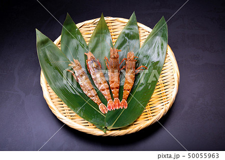 モサエビ　えび 50055963