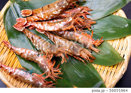 モサエビ　えび 50055964