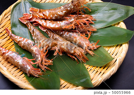 モサエビ　えび 50055966