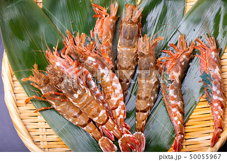 モサエビ　えび 50055967