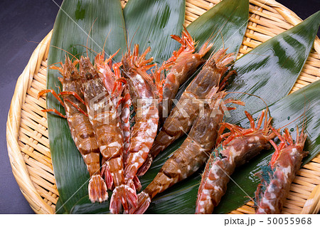 モサエビ　えび 50055968