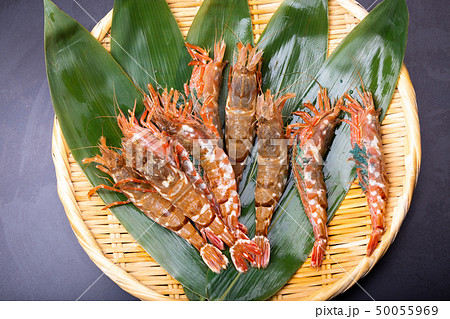 モサエビ　えび 50055969