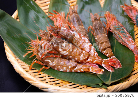 モサエビ えび モサエビ えび 50055976