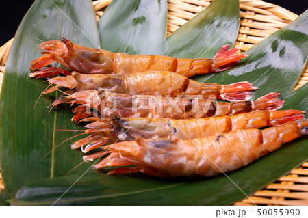 モサエビ えび モサエビ えび 50055990