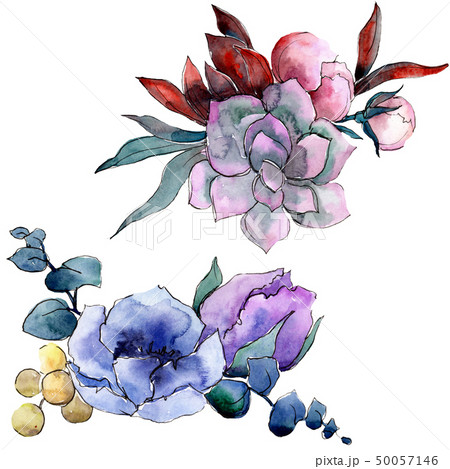 Bouquet floral botanical flowers. Watercolor background illustration set. Isolated bouquets Bouquet floral botanical flowers. Watercolor background illustration set. Isolated bouquets 50057146
