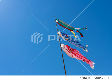鯉のぼり 青空 子供の日イメージ 鯉のぼり 青空 子供の日イメージ 50057323
