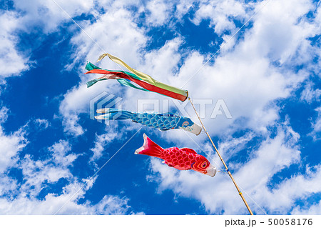 鯉のぼり 青空 子供の日イメージ 鯉のぼり 青空 子供の日イメージ 50058176