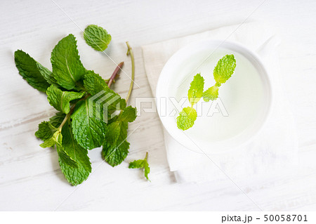 herbal mint tea 50058701
