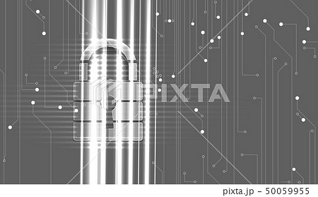 Cybersecurity and information or network 50059955