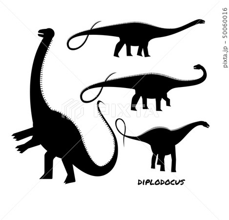 Diplodocus sauropods giant plant eaters lagest Diplodocus sauropods giant plant eaters lagest 50060016