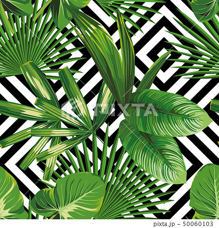 exotic jungle plant tropical palm leaves 50060103