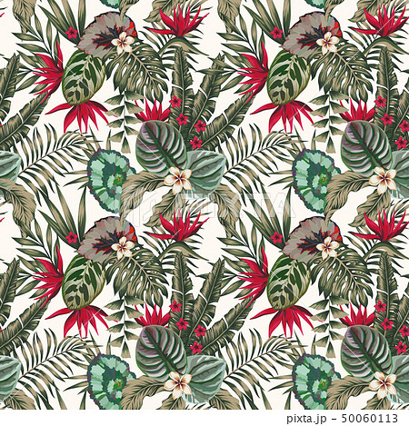 Exotic plants leaves flowers abstract color 50060113