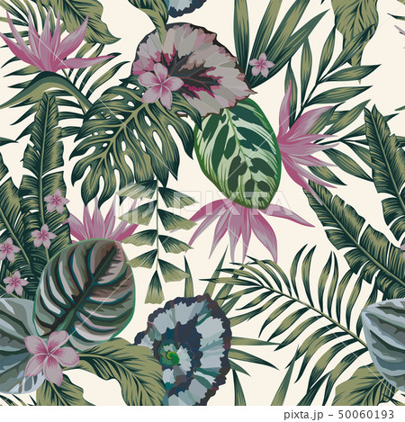 Tropical plants leaves flowers abstract color 50060193