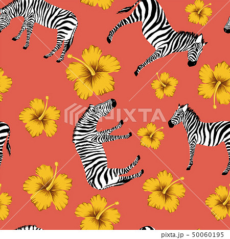 Zebra yellow hibiscus red background 50060195