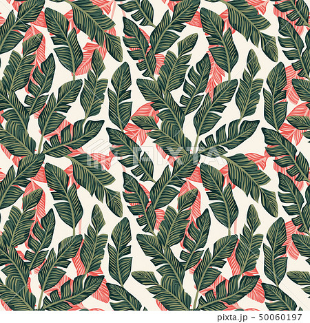 Exotic banana leaves dark green pink color 50060197