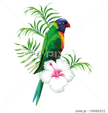 Green Parrot With Plantsのイラスト素材