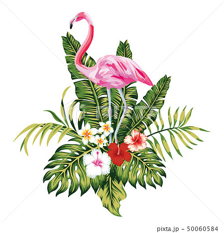 Composition of pink flamingo tropical leaves and Composition of pink flamingo tropical leaves and 50060584