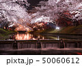 桜 50060612