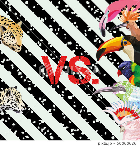 Print pattern panther vs tropical birds wallpaper Print pattern panther vs tropical birds wallpaper 50060626