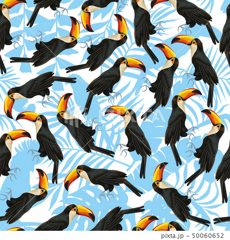 Seamless pattern toucan white blue background Seamless pattern toucan white blue background 50060652