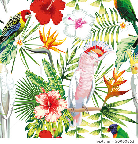 Parrot tropical flowers and leaves seamless 50060653