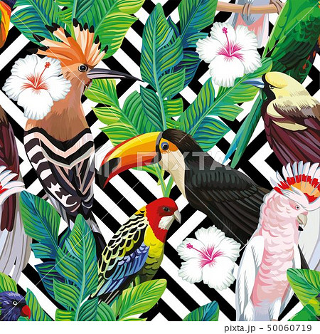 tropical bird leaves seamless geometric background 50060719