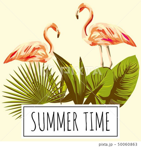 Slogan Summer Time Tropical Leaves Flamingo Retro のイラスト素材