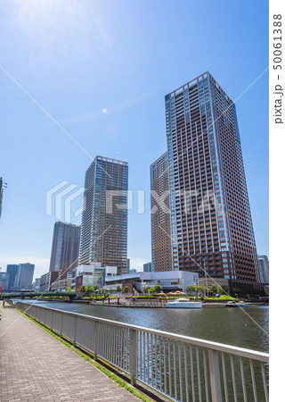 東京の都市風景 東京の都市風景 50061388