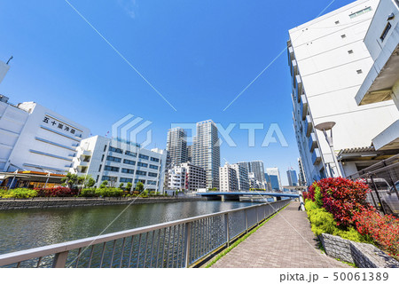 東京の都市風景 東京の都市風景 50061389
