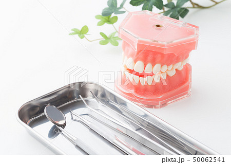 歯科イメージ 50062541