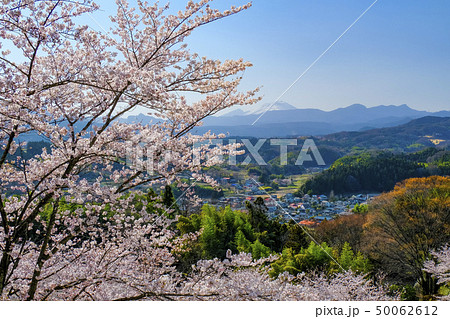 桜と雪の浅間山 50062612