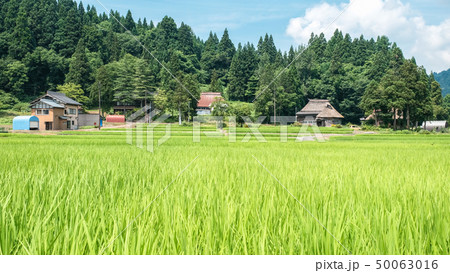 夏の農村風景 (荻ノ島環状集落) 夏の農村風景 (荻ノ島環状集落) 50063016