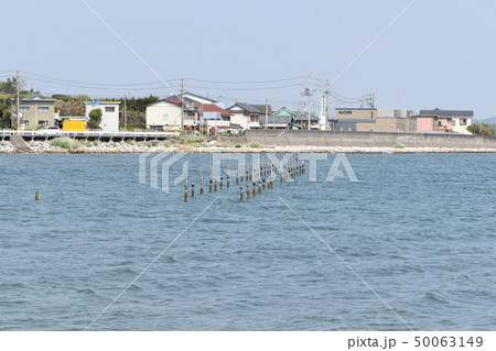 春の浜名湖 50063149