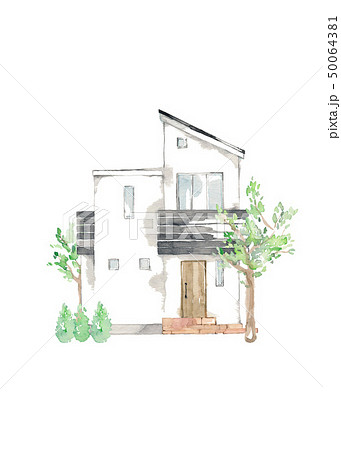 マイホーム、庭木、シンボルツリー マイホーム、庭木、シンボルツリー 50064381