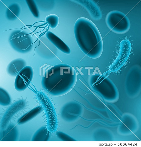 Viruses, blood cells, bacterias and germs pattern 50064424